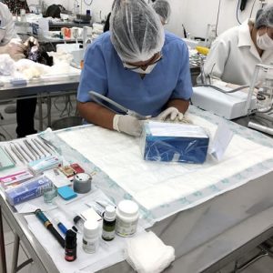 Surgical Instrumentation